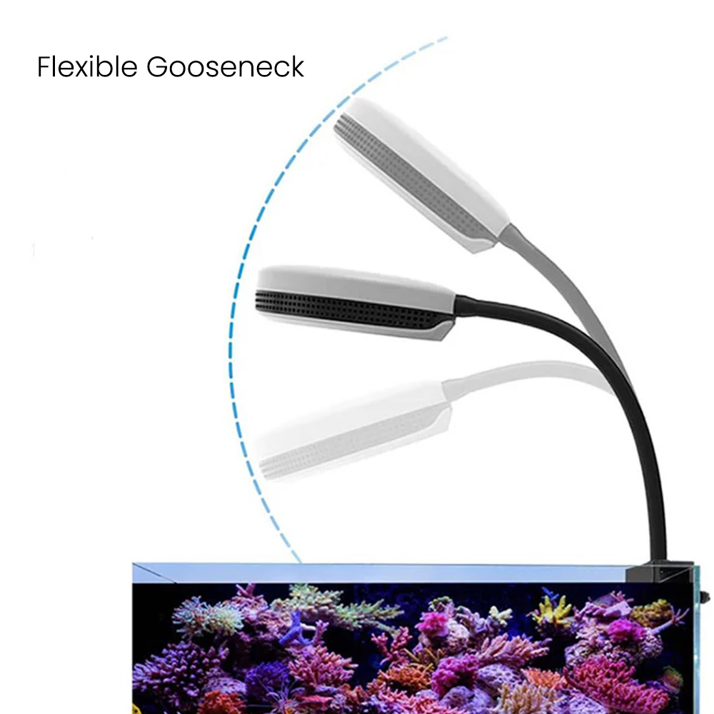 Lampe LED Spectra SP20 20W pou - Marine Aquarium Lamp avis et prix