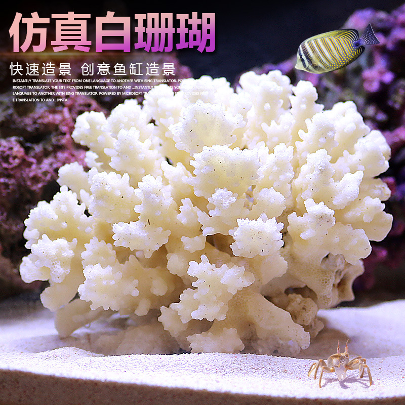 Kit de Décoration pour Petit A - Marine Aquarium Epoxy avis et prix