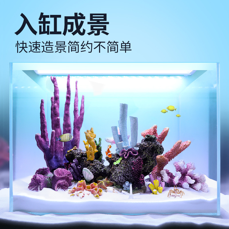 Ensemble de décoration pour aq - Marine Aquarium Epoxy avis et prix